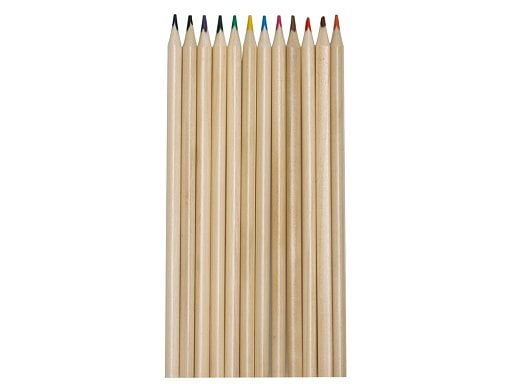 Набор из 12 цветных карандашей Painter