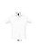 sols_white
