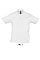 sols_white