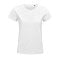 sols_white