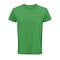 sols_kelly_green