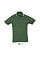 sols_golf_green