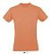 sols_apricot
