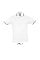 sols_white