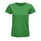 sols_kelly_green